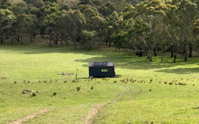 Tiny Home, Big View